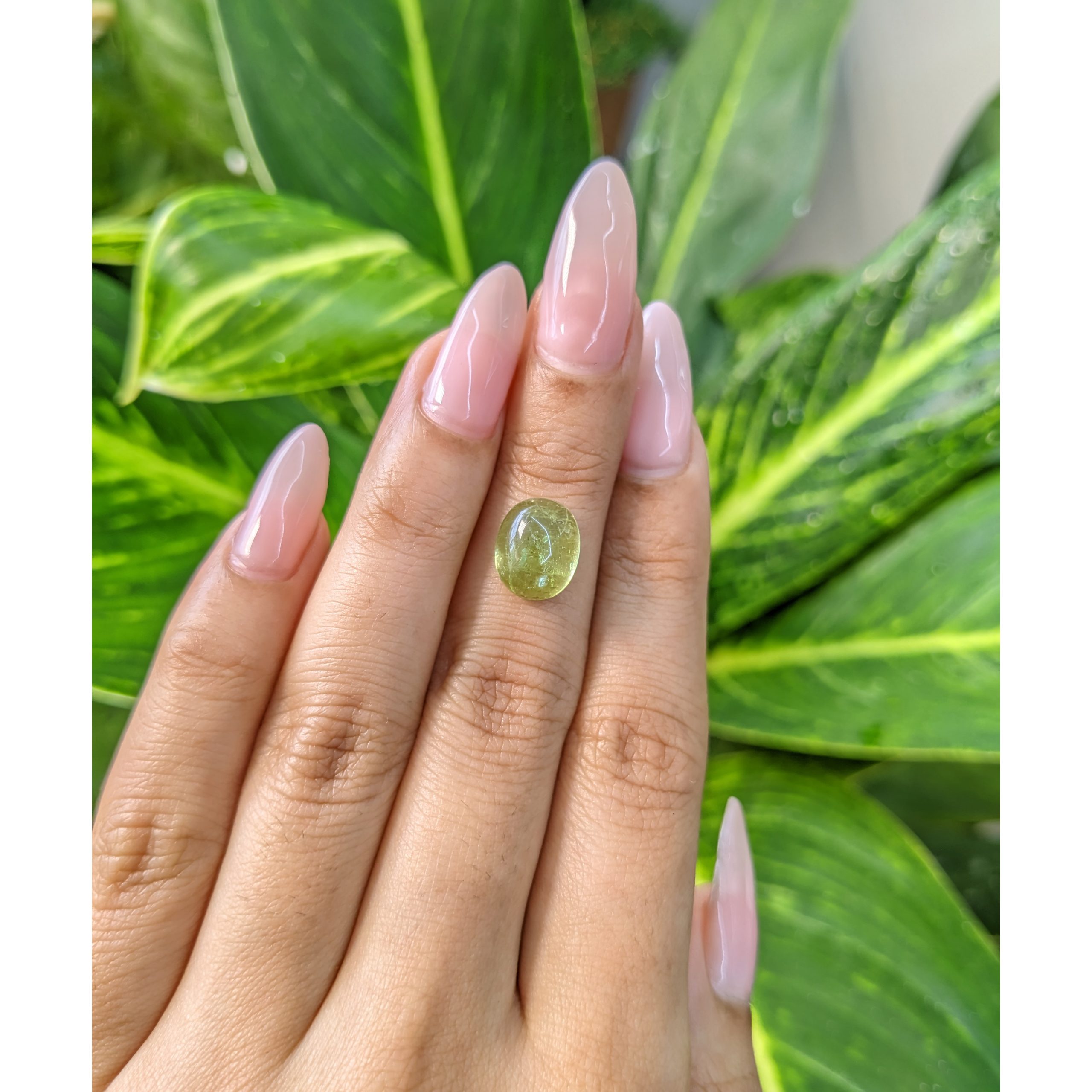 4.26 Ct. Green Cabochon Tourmaline from Mozambique - Image 2