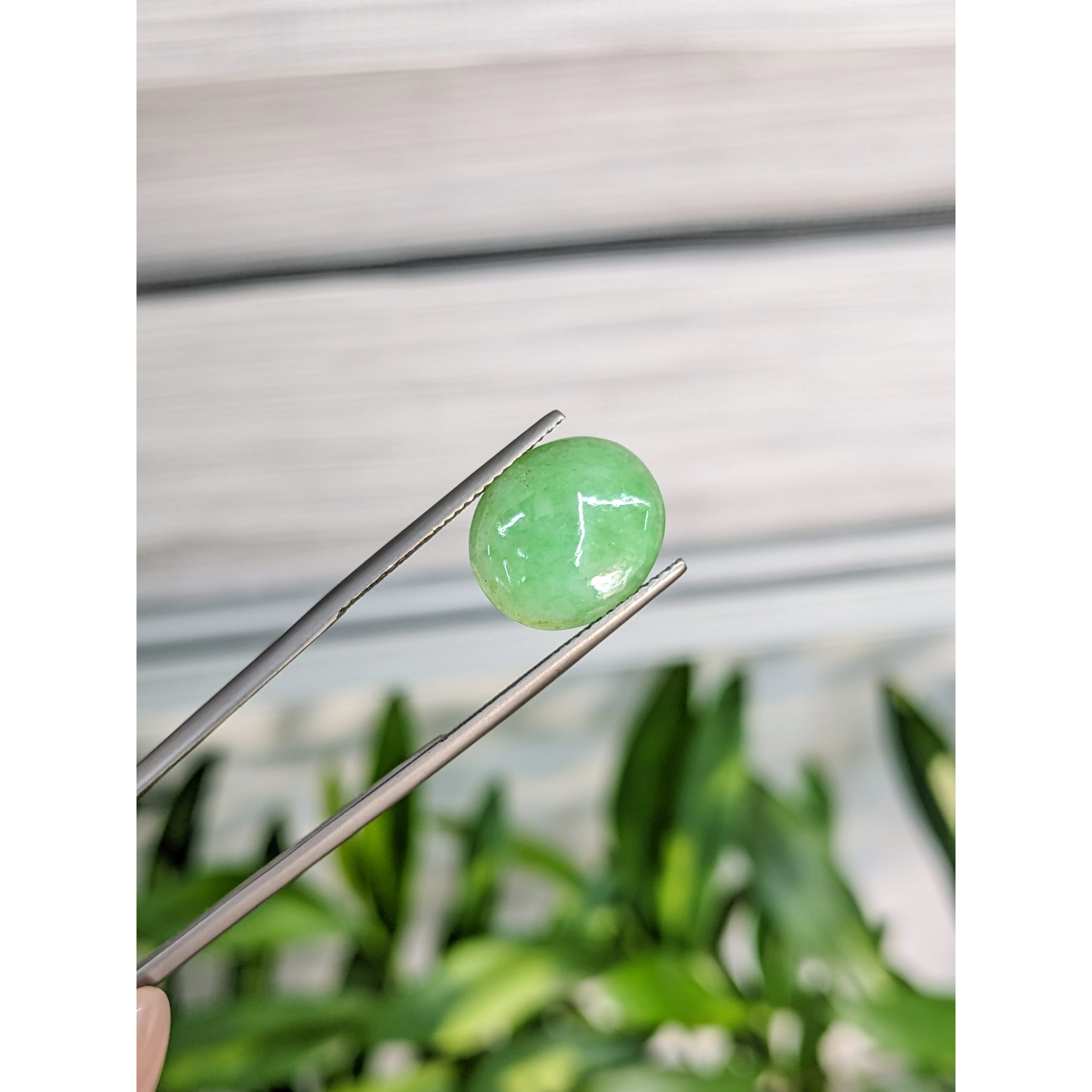 4.53 Ct. Green Cabochon Jade from Burma (Myanmar) - Image 3