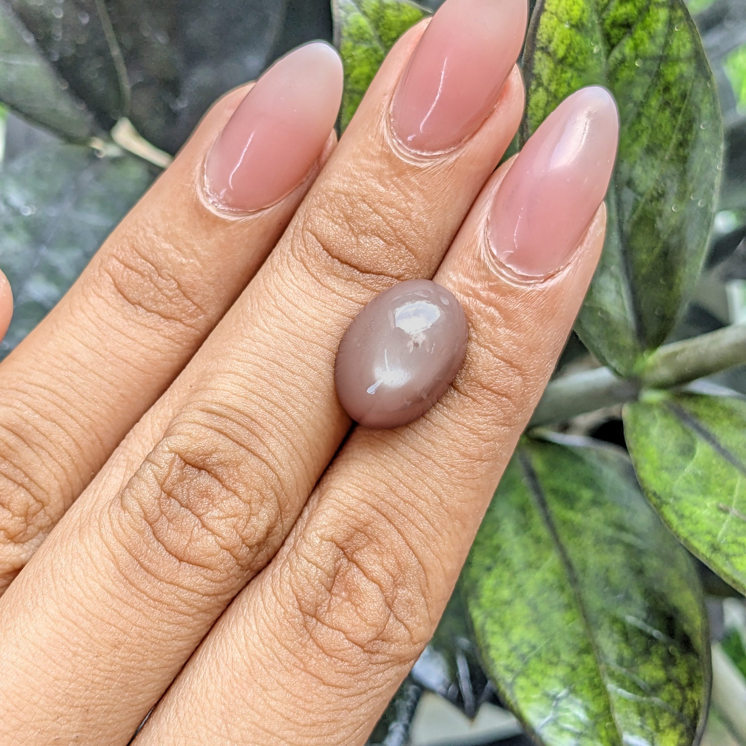 10.61 Ct. Brown Cabochon Moonstone from Ceylon (Sri Lanka) - Image 2
