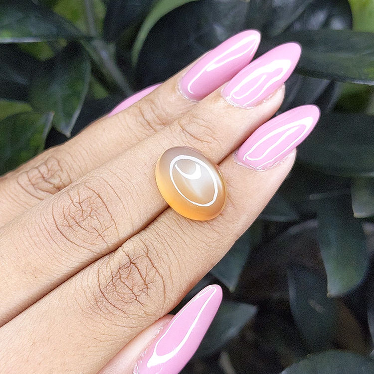 10.57 Ct. Yellow Cabochon Moonstone from Ceylon (Sri Lanka) - Image 3