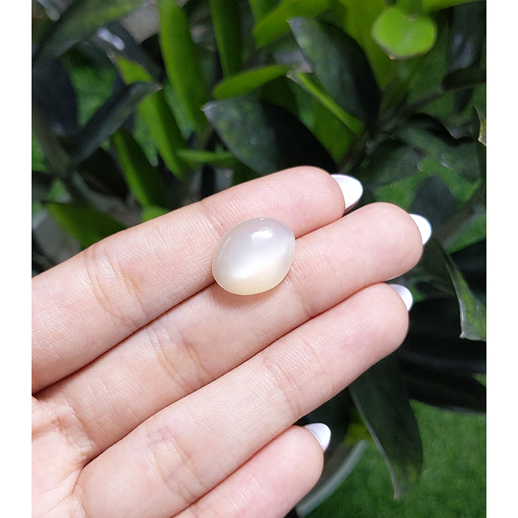 10.58 Ct. Yellow Cabochon Moonstone from Ceylon (Sri Lanka) - Image 2