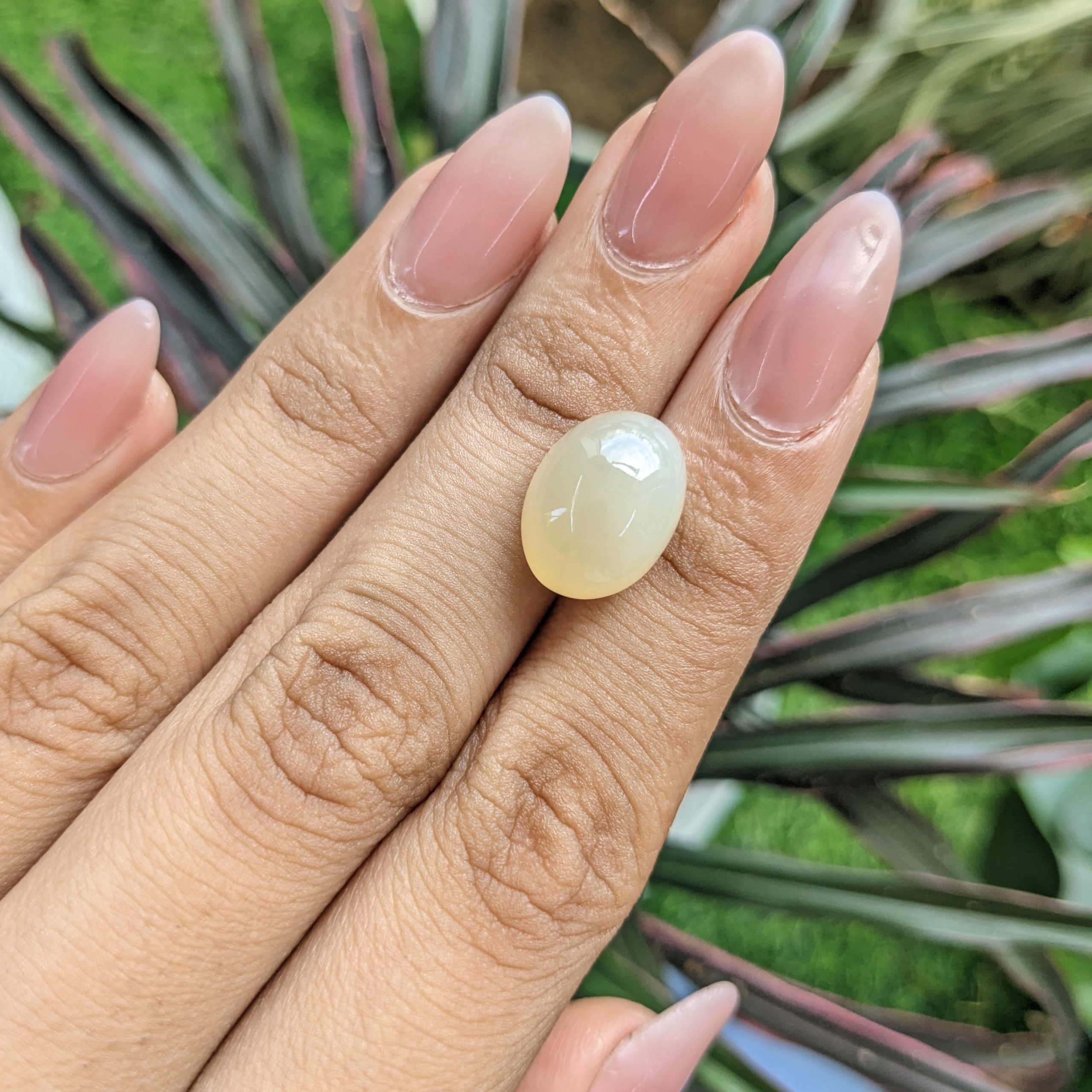 10.59 Ct. Yellow Cabochon Moonstone from Ceylon (Sri Lanka) - Image 2