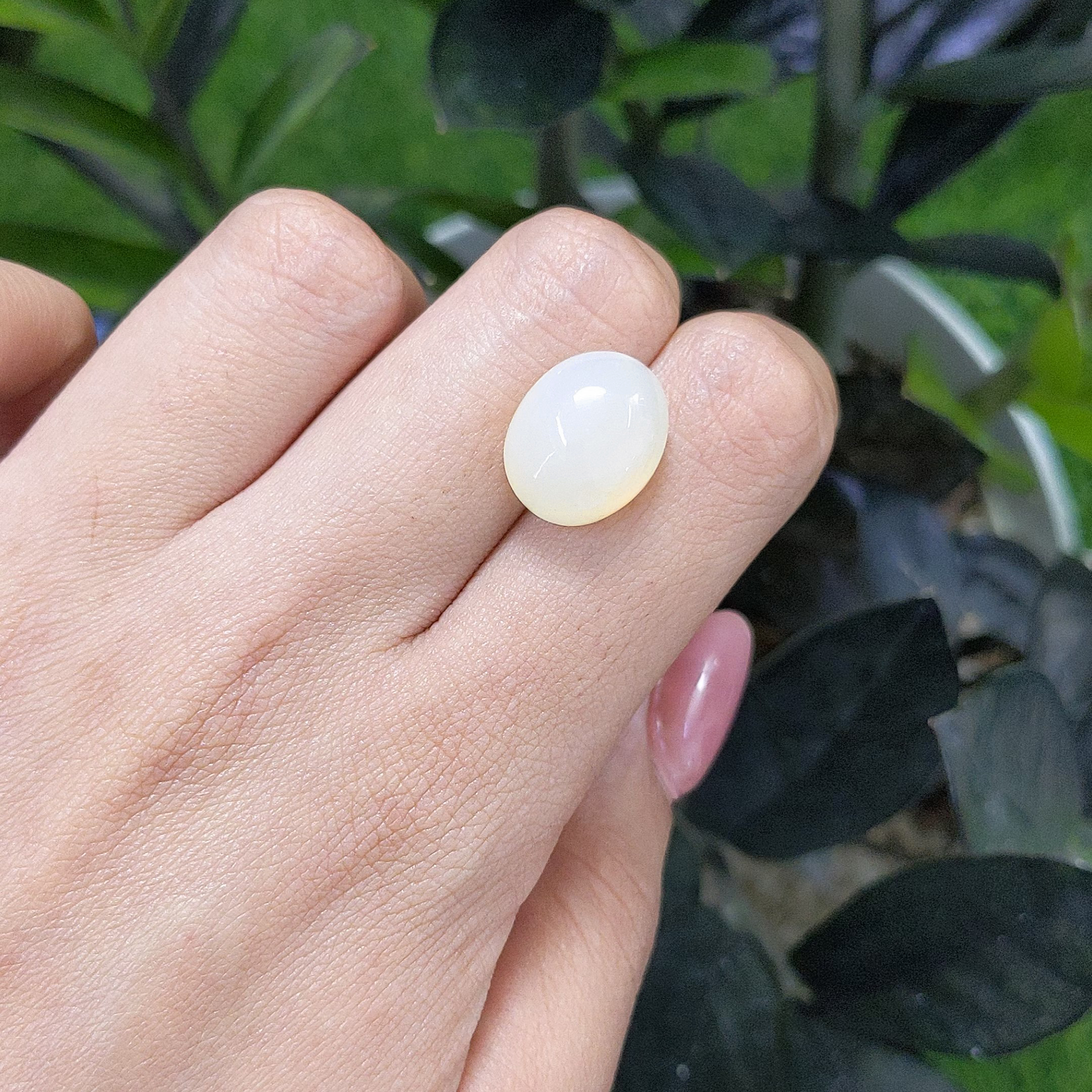 10.91 Ct. Yellow Cabochon Moonstone from Ceylon (Sri Lanka) - Image 2