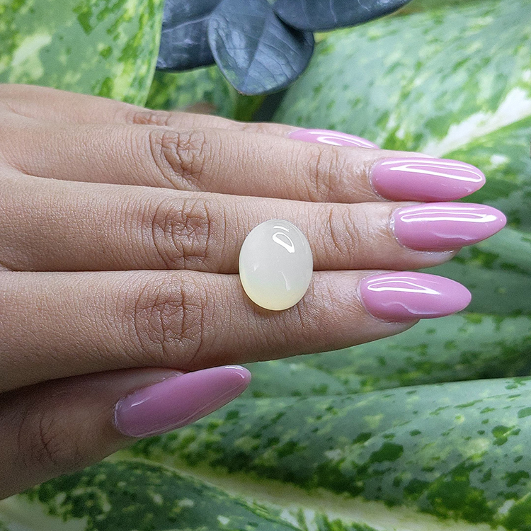 10.91 Ct. Yellow Cabochon Moonstone from Ceylon (Sri Lanka) - Image 3