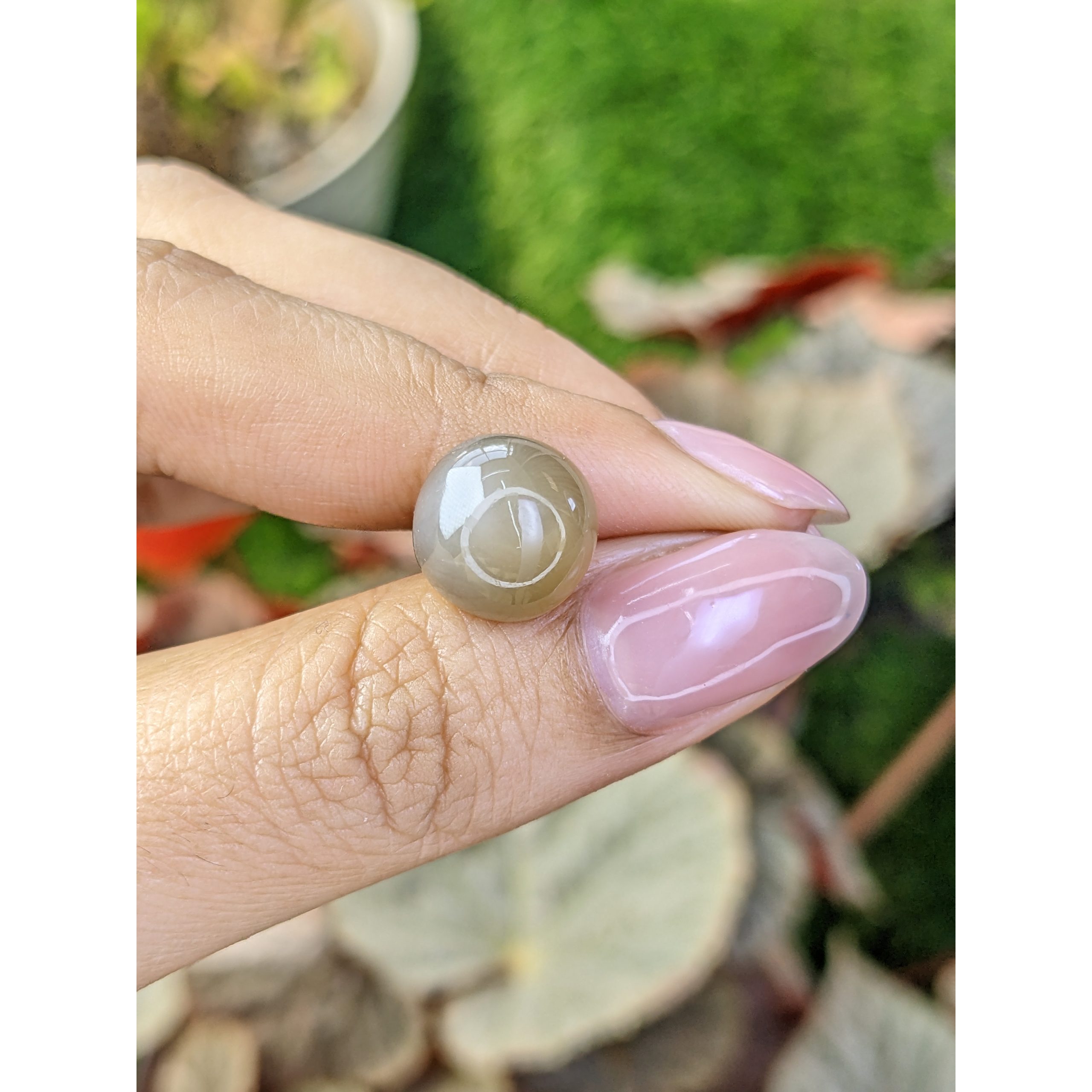 6.82 Ct. Brown Cabochon Moonstone from Ceylon (Sri Lanka) - Image 2