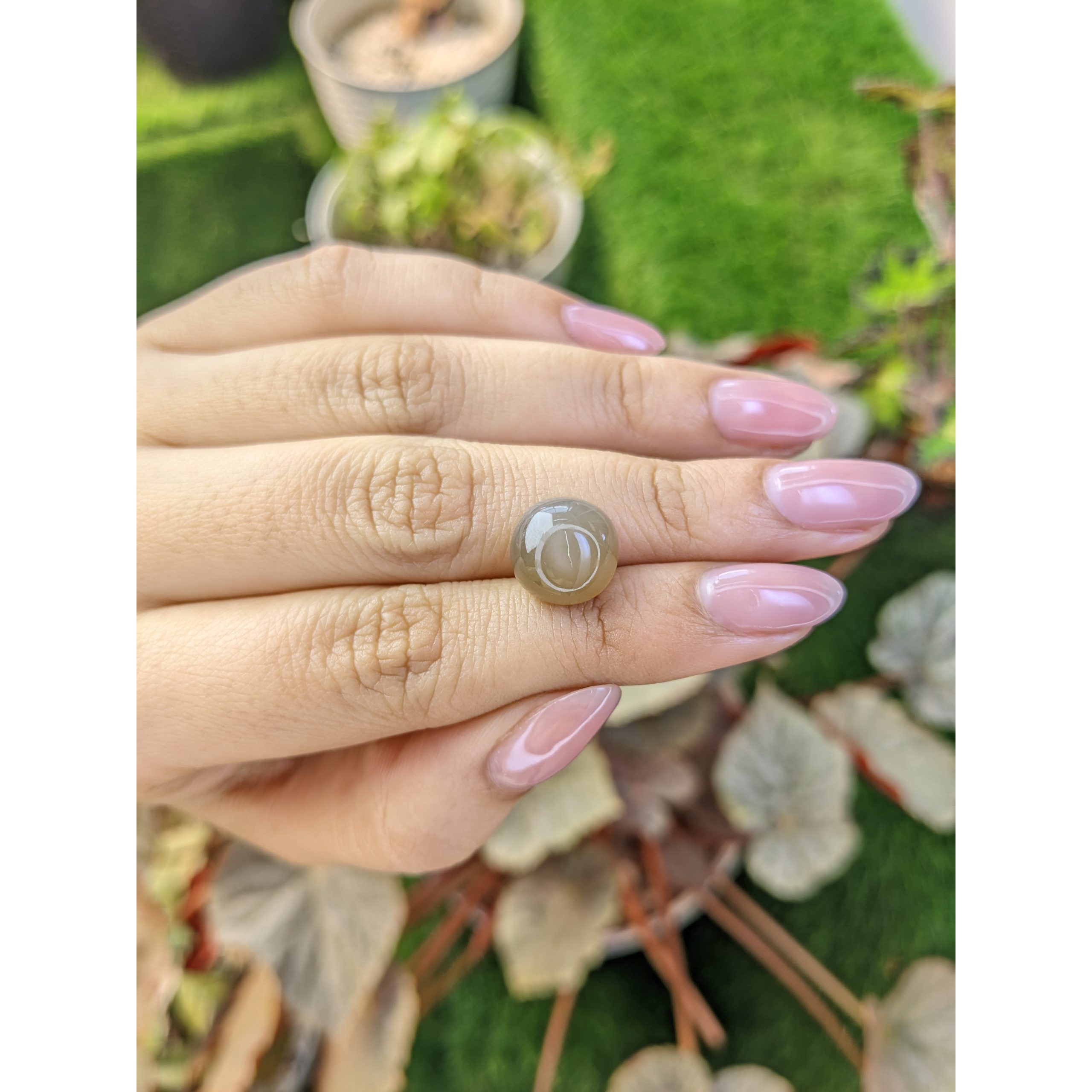 6.82 Ct. Brown Cabochon Moonstone from Ceylon (Sri Lanka) - Image 3