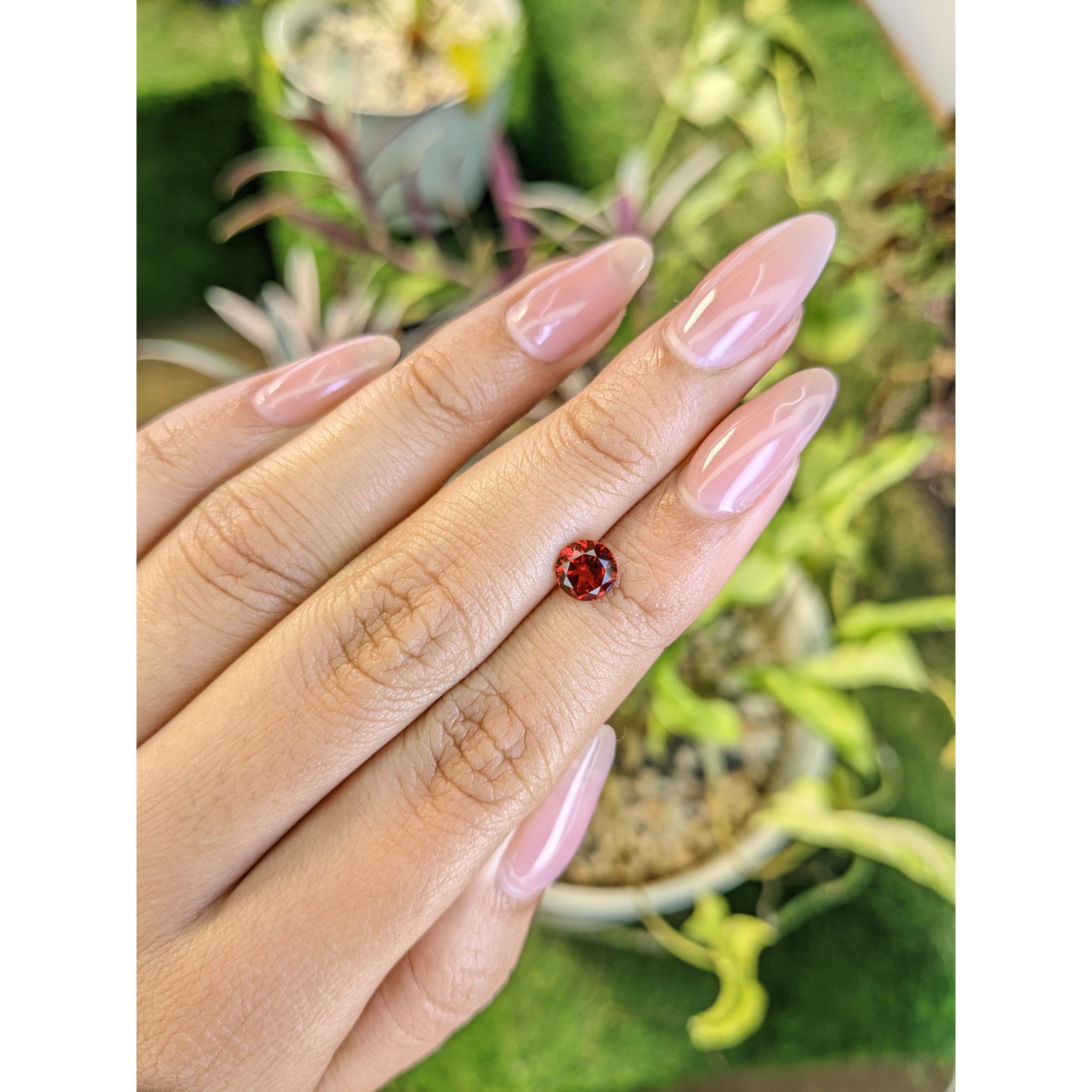 1.06 Ct. Red Garnet from Ceylon (Sri Lanka) - Image 3