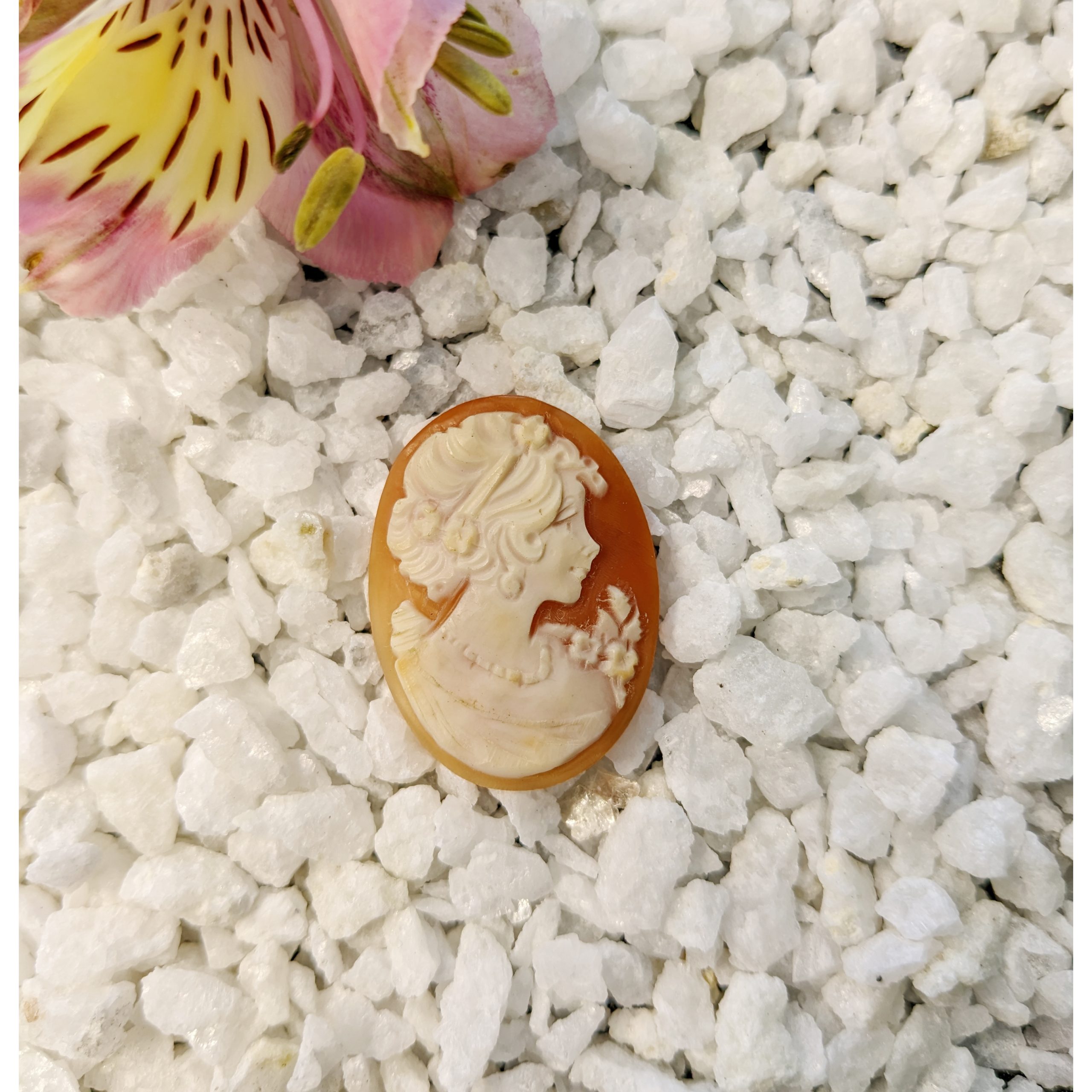 13.33 Ct. Salmon and White Coral from Italy - Image 2