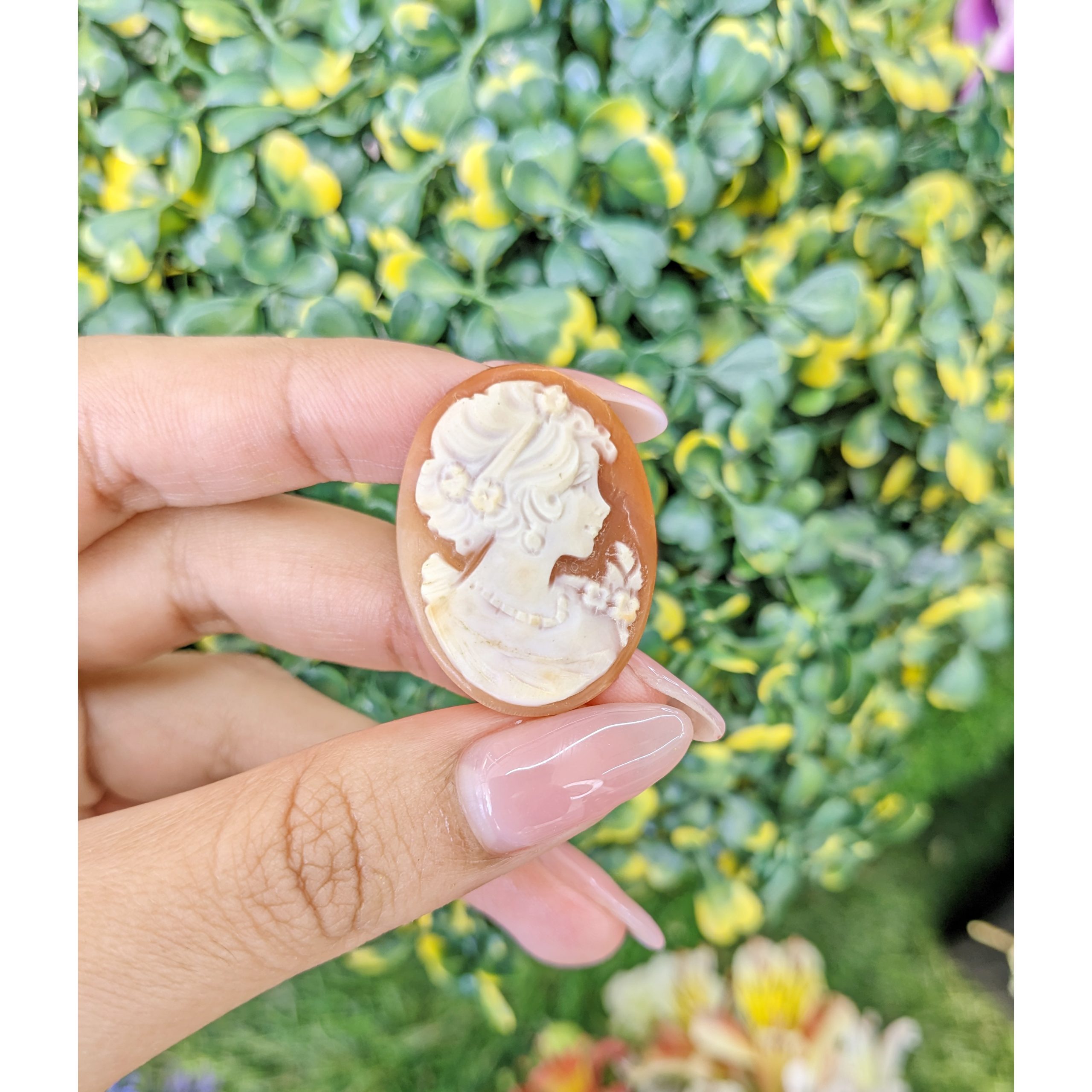 13.33 Ct. Salmon and White Coral from Italy - Image 3