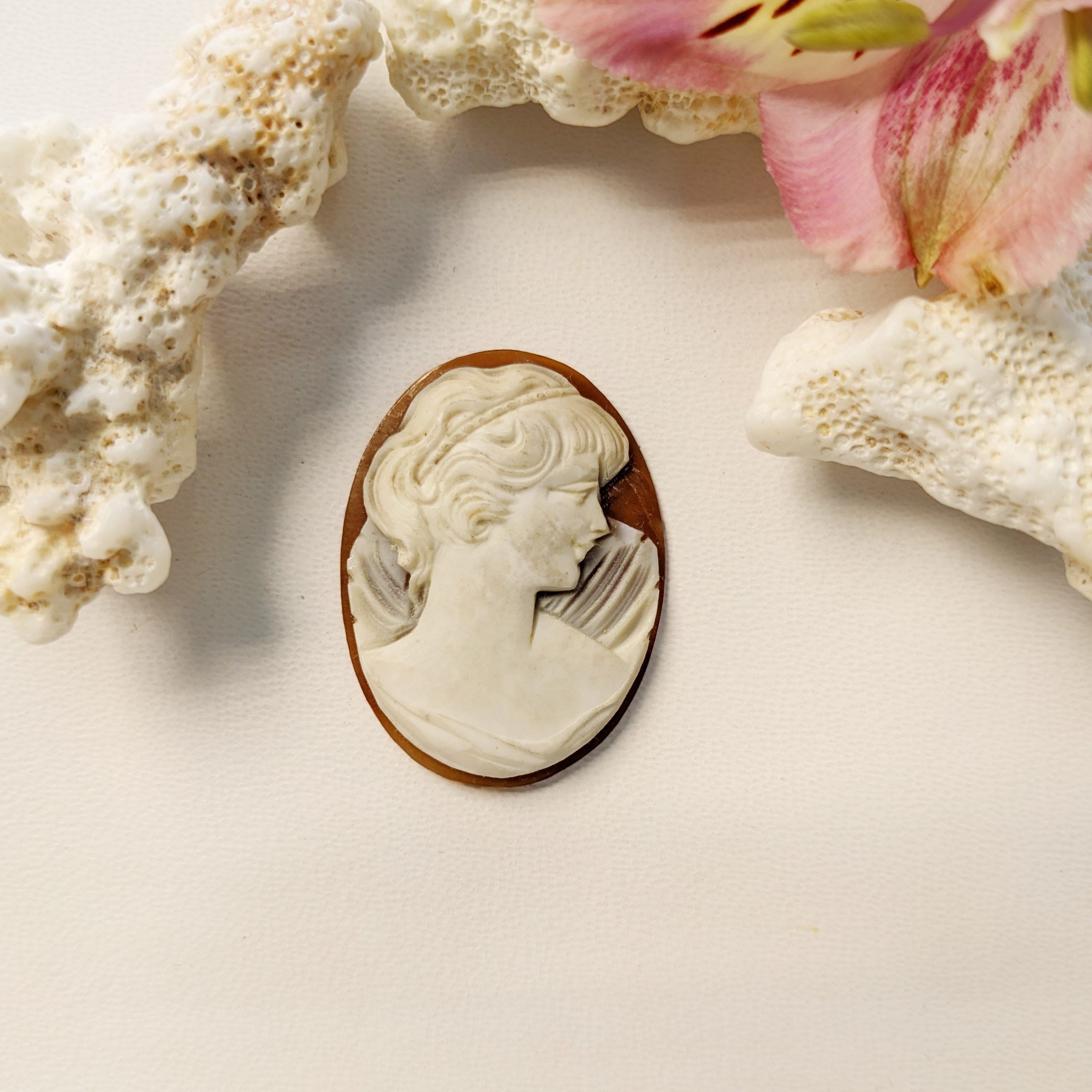 13.45 Ct. Salmon and White Coral from Italy - Image 3