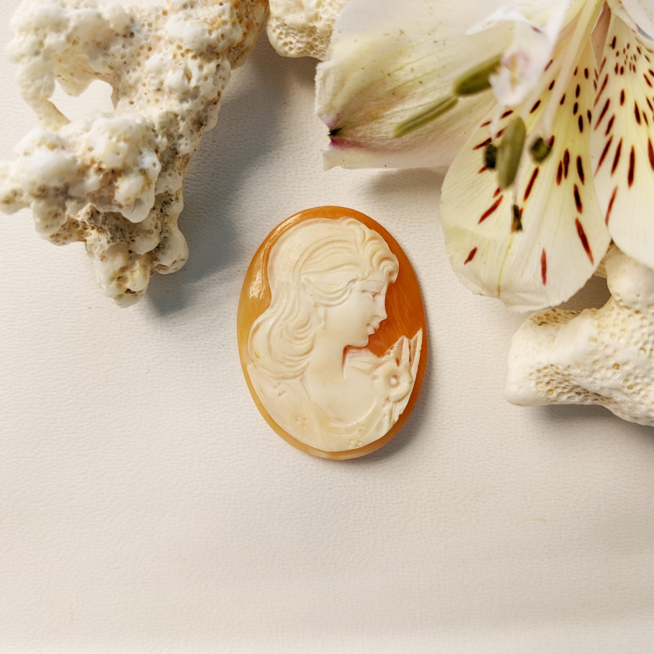 17.64 Ct. Salmon and White Coral from Italy - Image 3