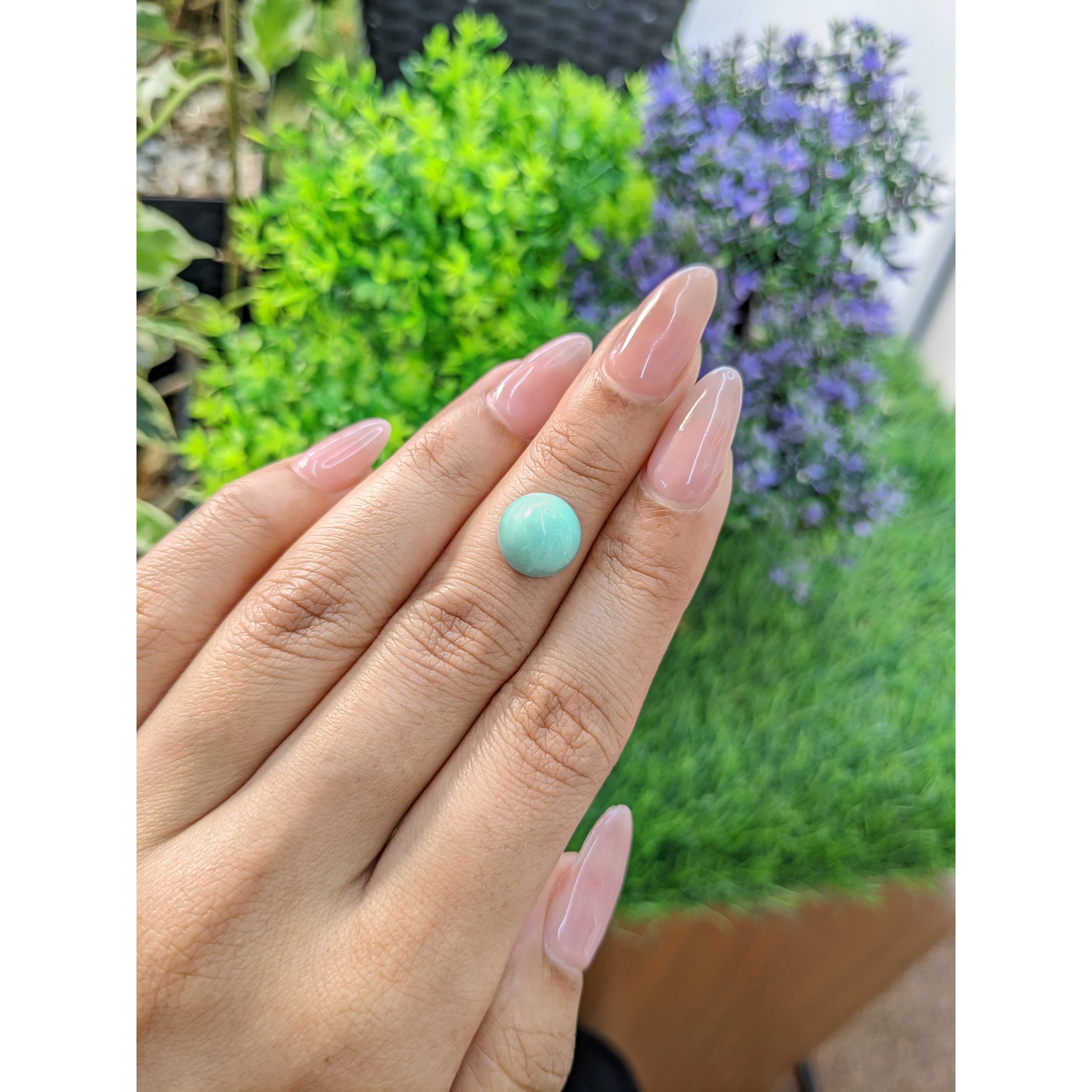 5.31 Ct. Bluish Green Cabochon Turquoise from Persia(Iran) - Image 3